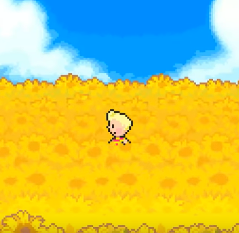 Part 17: Sunflower Fields